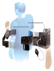 Polygel-Back-Support-Diagram