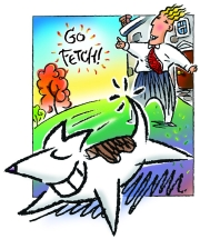 Go-Fetch-color