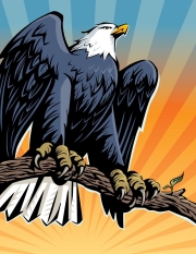 O'keefe Eagle